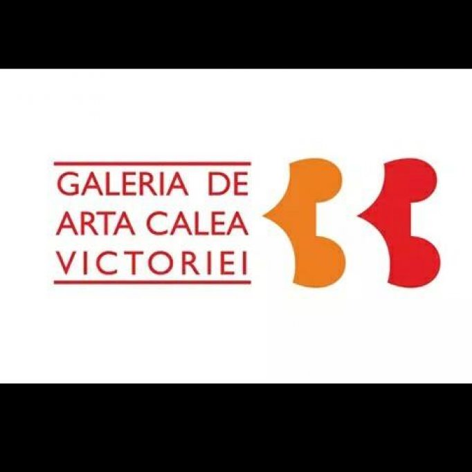 Noaptea albă a Galeriilor de Artă #9