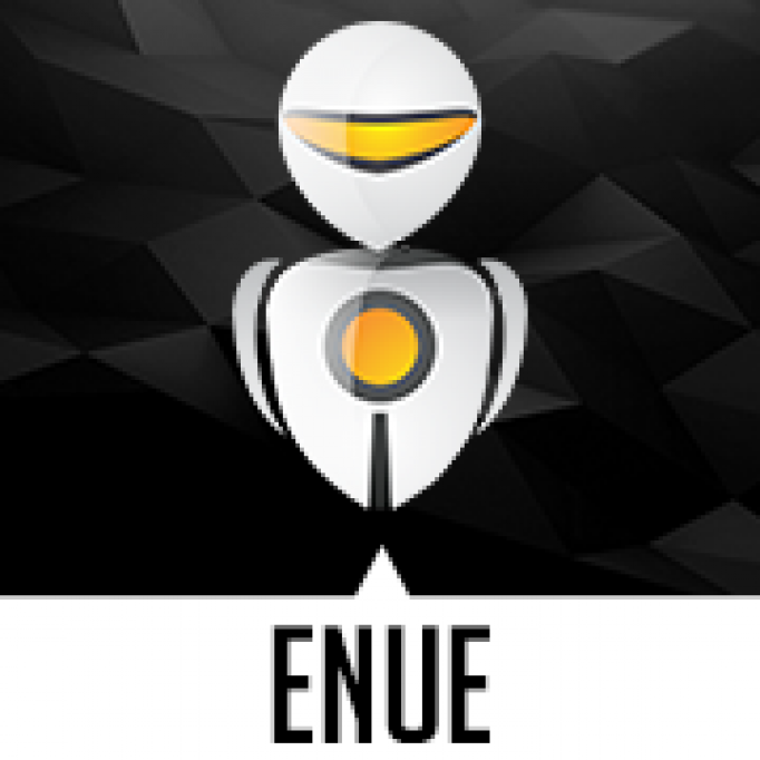 Enue Consulting