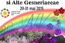 Expozitia Nationala de Violete Africane si alte Gesneriaceae