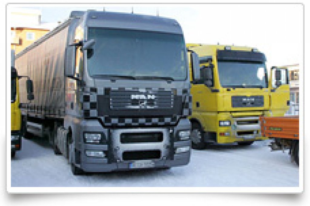 Servicii de transport rutier de marfuri