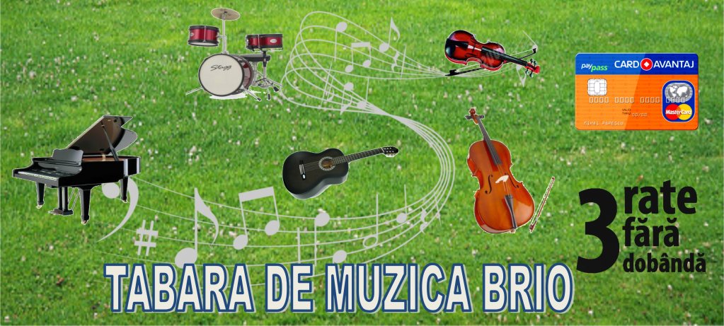 Tabara de Muzica BRIO