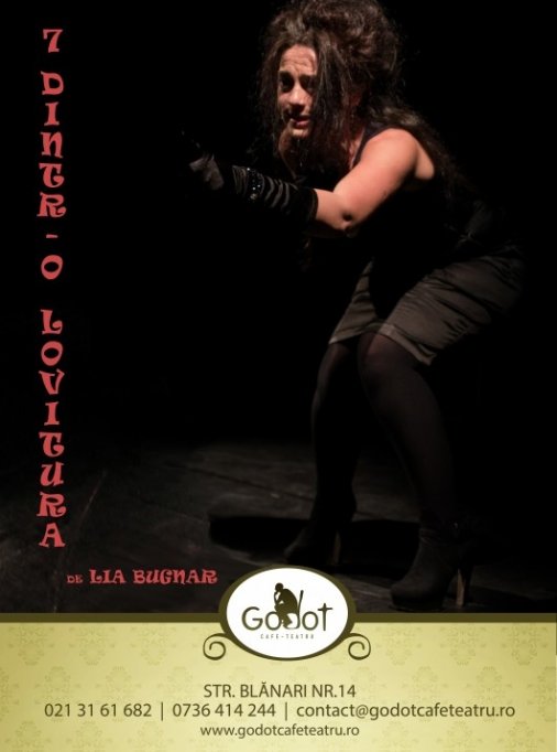 7 dintr-o lovitura de Lia Bugnar