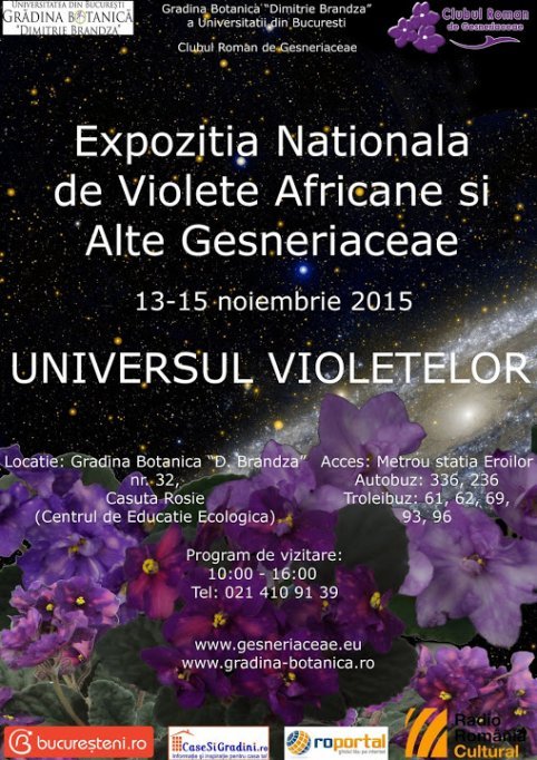 Expozitia Nationala de Violete Africane si Alte Gesneriaceae