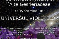 Expozitia Nationala de Violete Africane si Alte Gesneriaceae