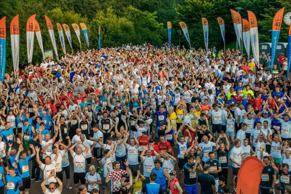 B2RUN vine in Romania in 2016