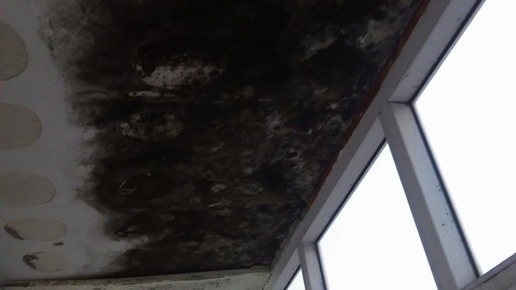 Anvelopare marca Negoiță: stai la 10, îți plouă-n casă