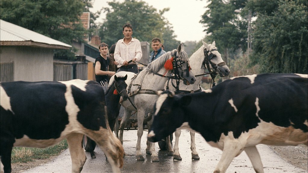 Scurtmetrajul O NOAPTE ÎN TOKORIKI
