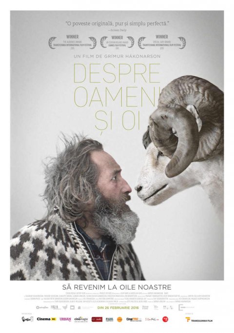 Despre oameni si oi 2D