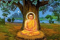 Introducere in invatatura budista: de la forta blandetii la fericirea eliberatoare (18-22 iulie)