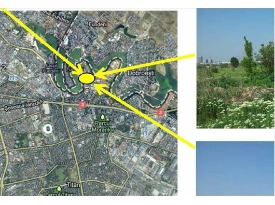 Vanzare teren , Bucuresti