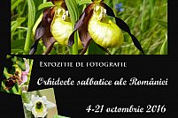 Orhideele sălbatice ale României (expozitie foto)