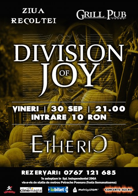 The Division of Joy