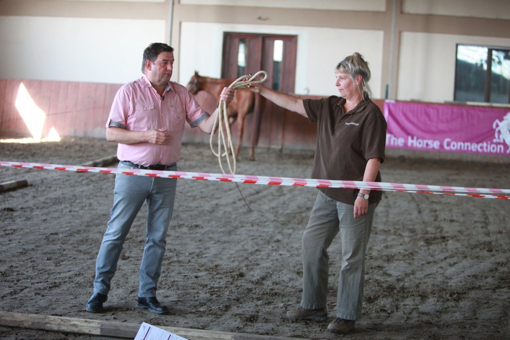 The Horse Connection - program inovator de leadership