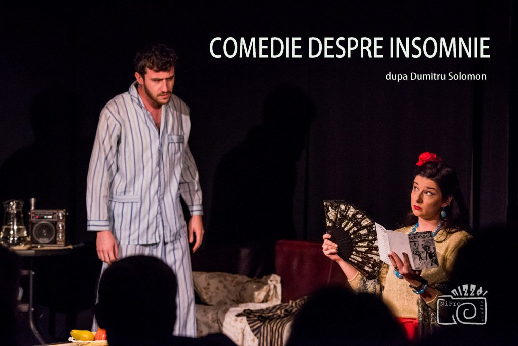 Comedie despre insomnie