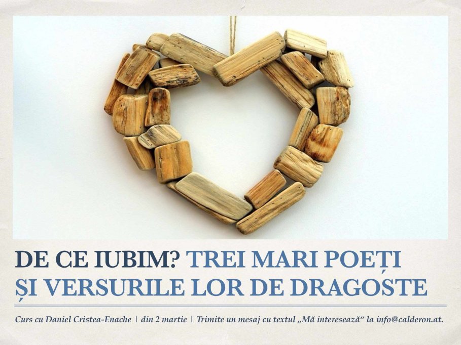 De ce iubim – noul proiect al criticului literar Daniel Cristea-Enache