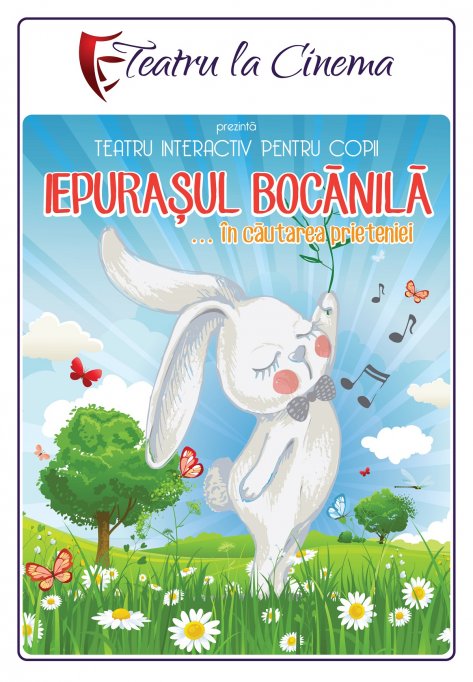 Iepurasul Bocanila … in cautarea prieteniei