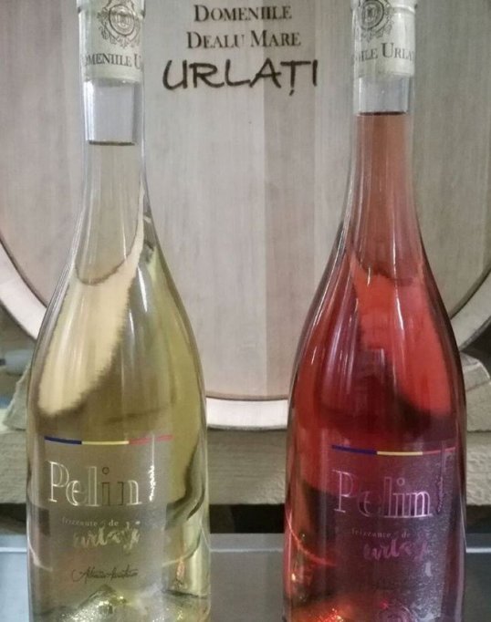 Degustare de vin pelin frizzante - Domeniile Urlati - la Peter's Kitchen