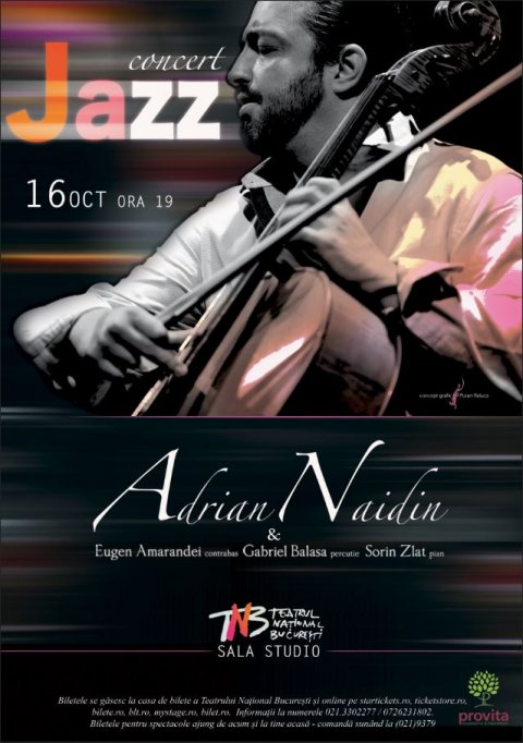 Concert Adrian Naidin