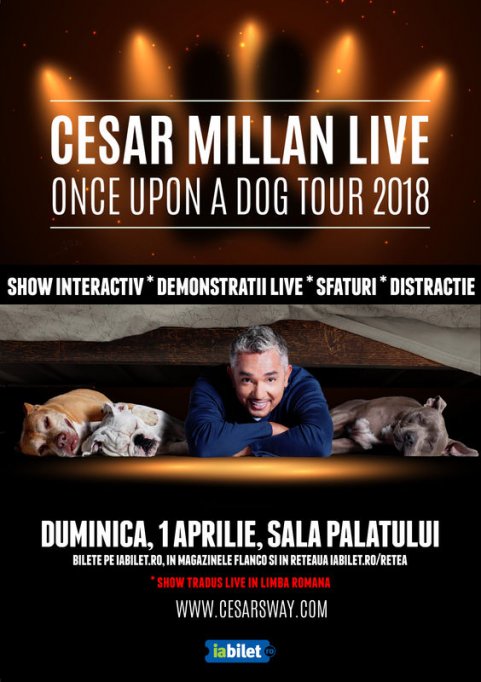 Once Upon a Dog Tour - Cesar Millan