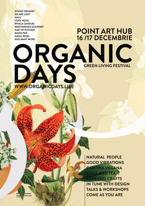 Organic Christmas