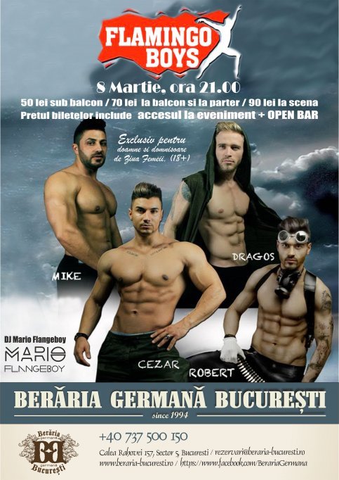 Flamingo Boys - Striptease Show de Ziua Femeii