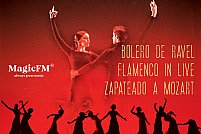 Ballet Flamenco Espanol