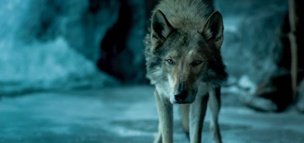 “Alpha”, lider de box-office în România
