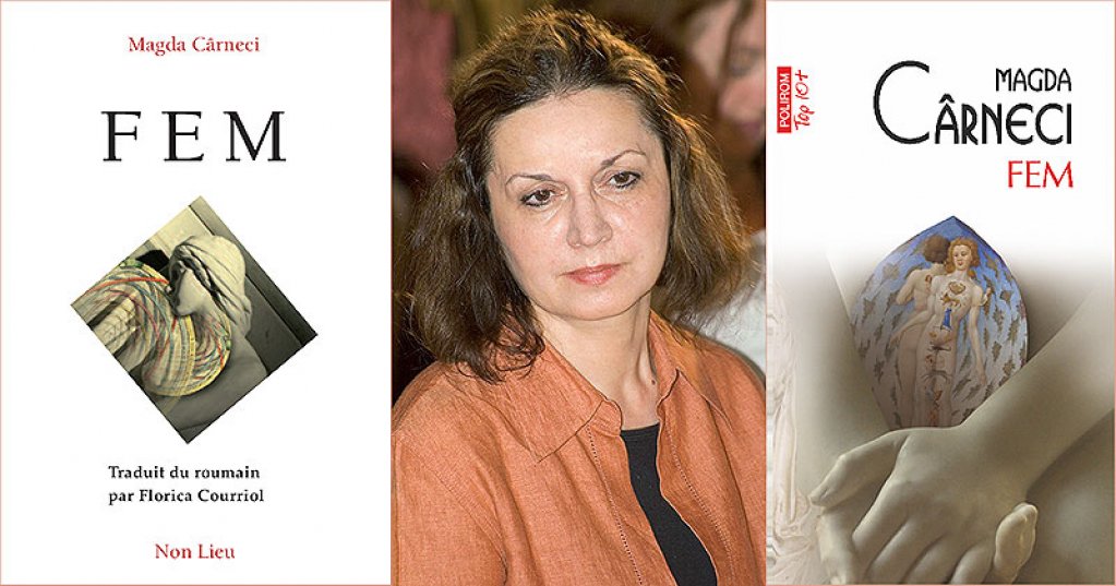 FEM de Magda Carneci in limba franceza