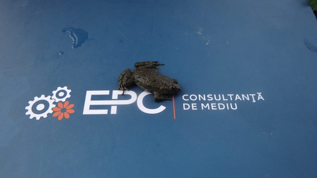 EPC