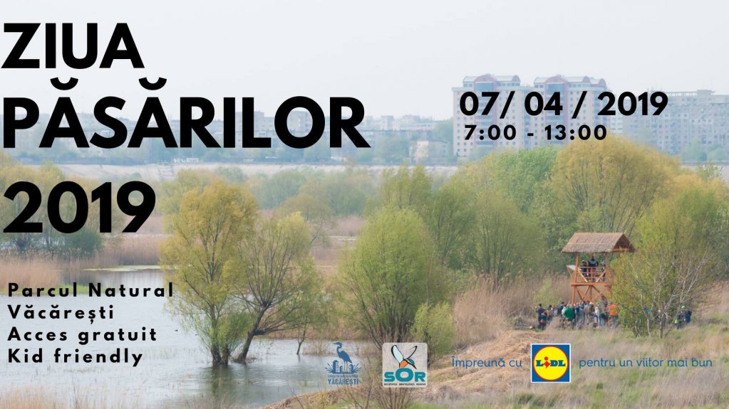 De Ziua Păsărilor, SOR combate superstiții în Parcul Natural Văcărești
