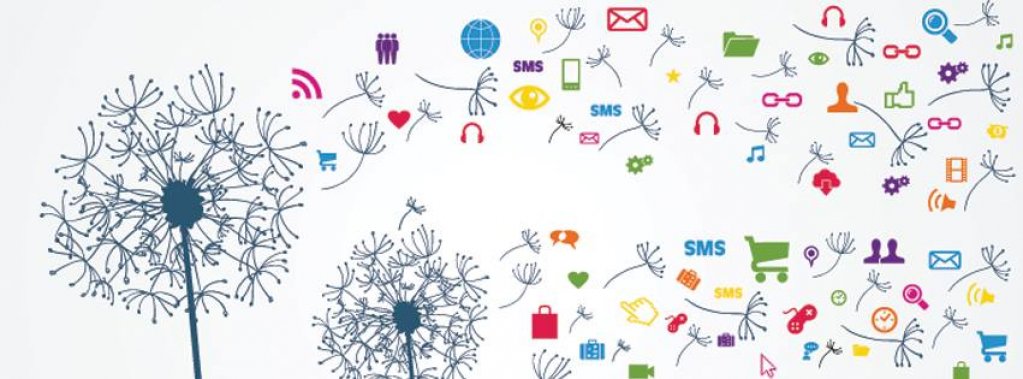 Web Media Marketing