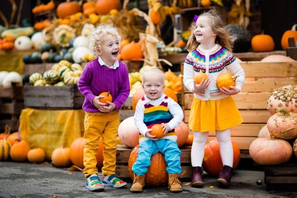 Cel mai mare zid de dovleci sculptați și iluminați din Europa la PumpkinFest