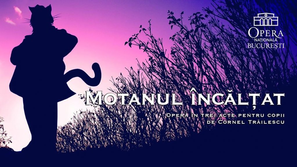 Motanul incaltat