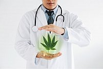 Intrebuintarile mai putin stiute ale cannabisului medicinal. Care sunt cele mai comune afectiuni pe care le trateaza