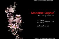 Madame Sophie safe shopping II