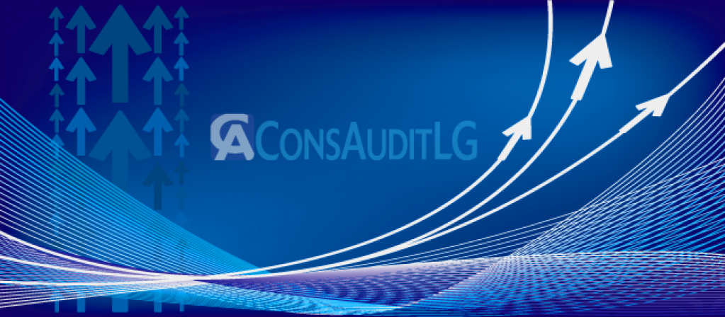 Cons Audit LG