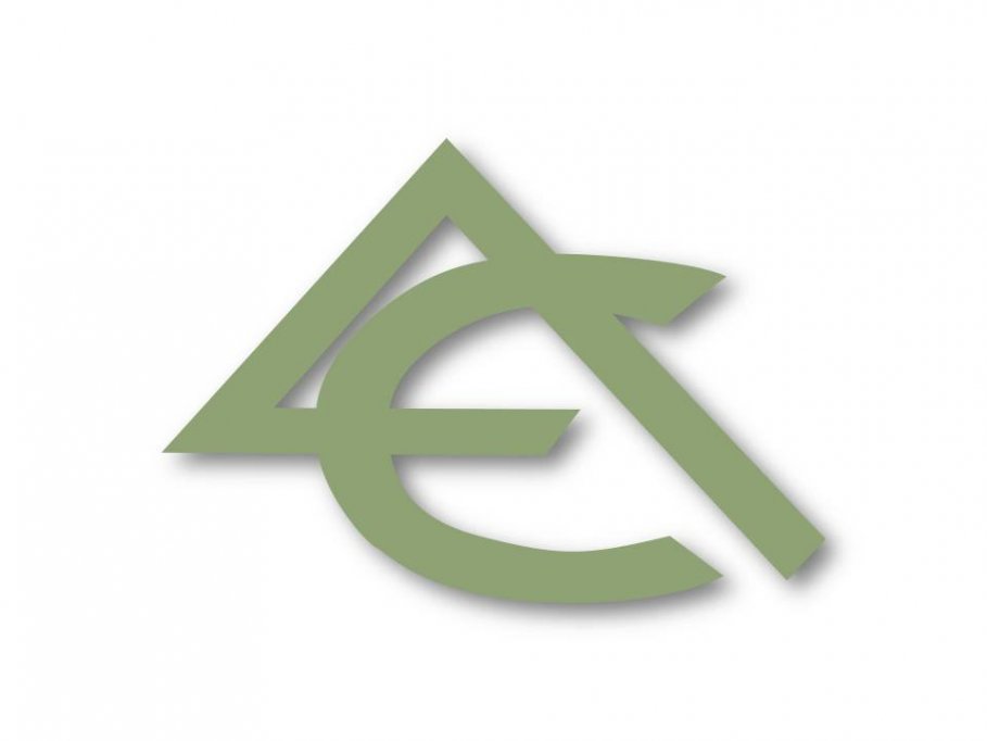 Especial Audit