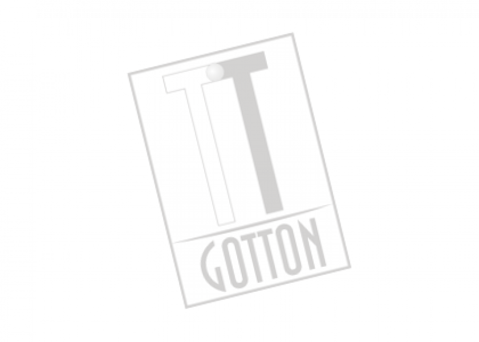 Gotton Consult