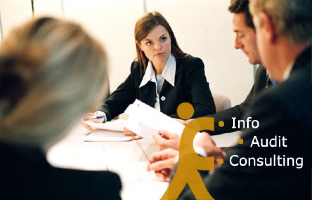 Info Audit Consulting
