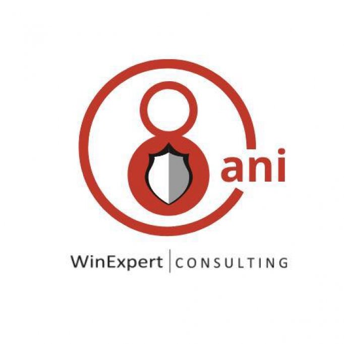 Win Expert Consulting