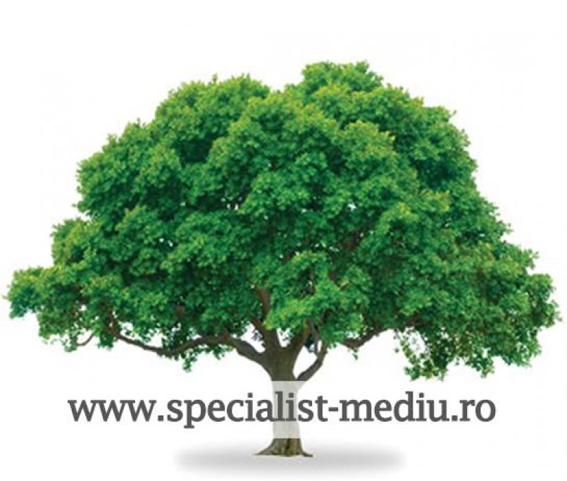 Cabinet Expert de Mediu ing. Maria Bordeanu