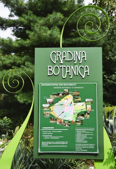 Gradina Botanica