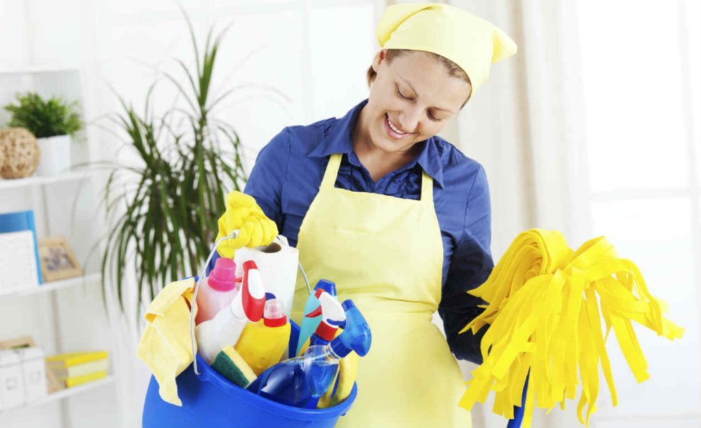 Premier Cleaning