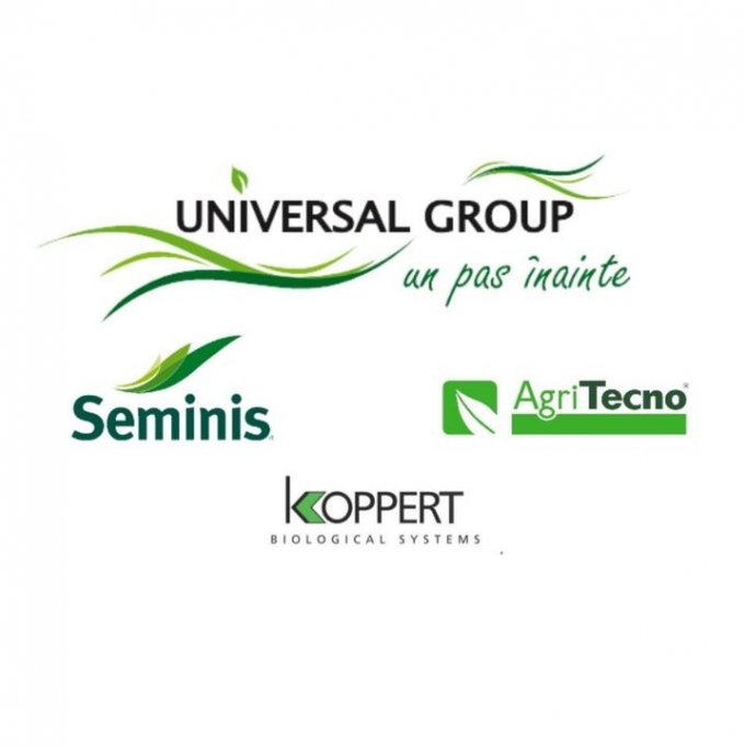 Universal Group