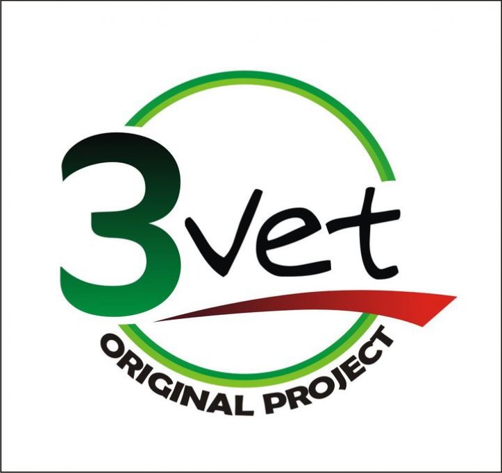 3 Vet Original Project