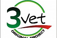 3 Vet Original Project