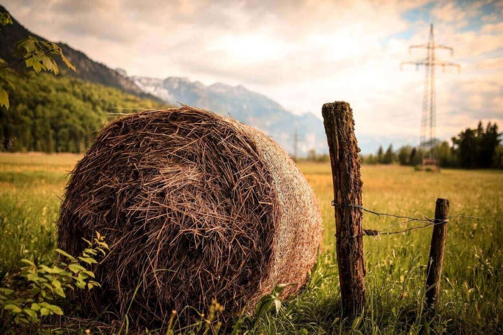 Simți nevoia unei reconversii profesionale? Începe o afacere la țară!