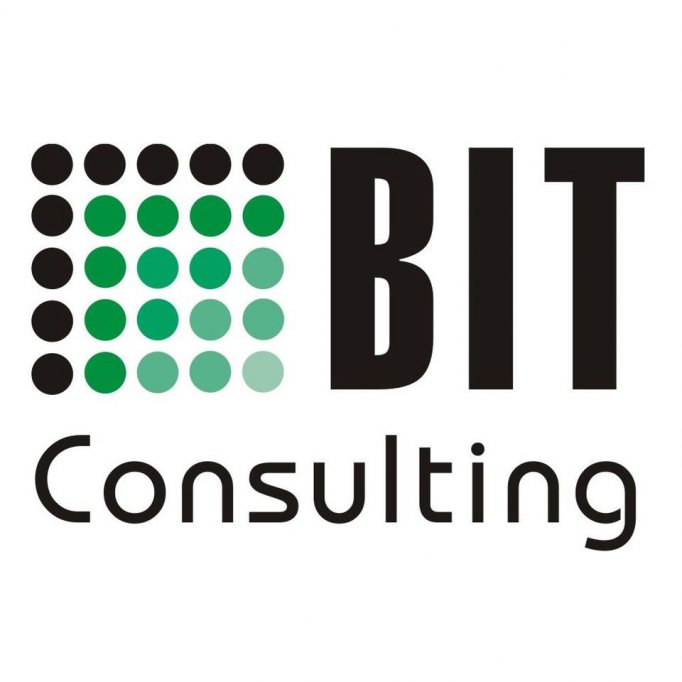 BIT Consulting Pro