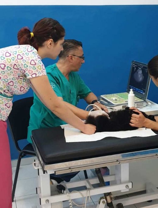 Clinica veterinara Biovet