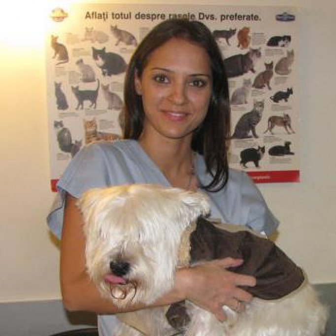 Clinica Veterinara Tiovet
